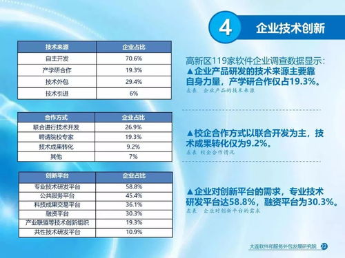 大連軟件和信息技術服務業發展報告 聚焦軟件外包服務的現狀與未來